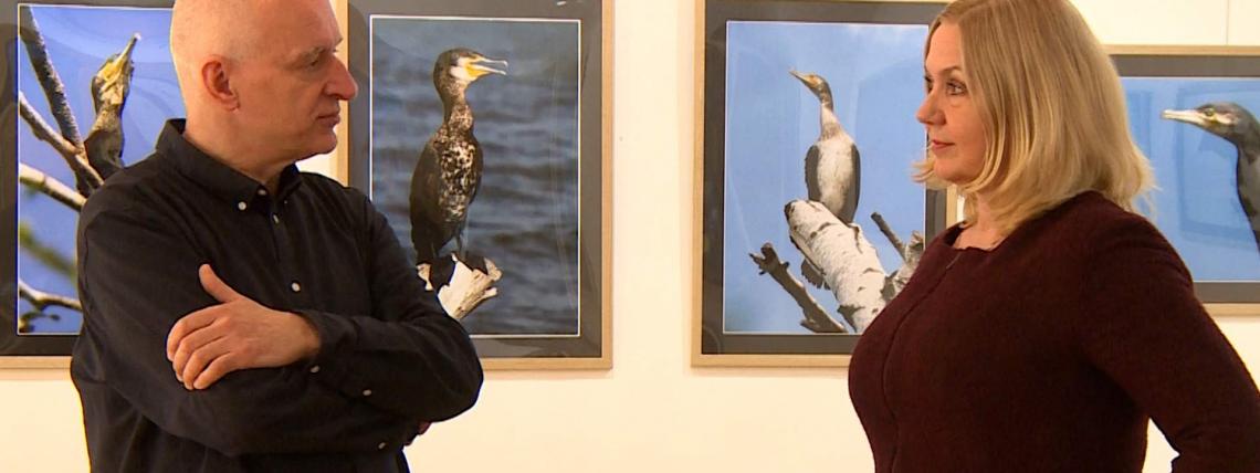 Wystawa fotografii pt. &quot;Ptaszory&quot; autorstwa Ziemowita Kalkowskiego.